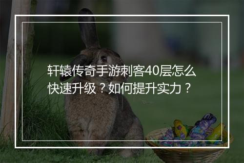 轩辕传奇手游刺客40层怎么快速升级？如何提升实力？