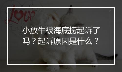 小放牛被海底捞起诉了吗？起诉原因是什么？