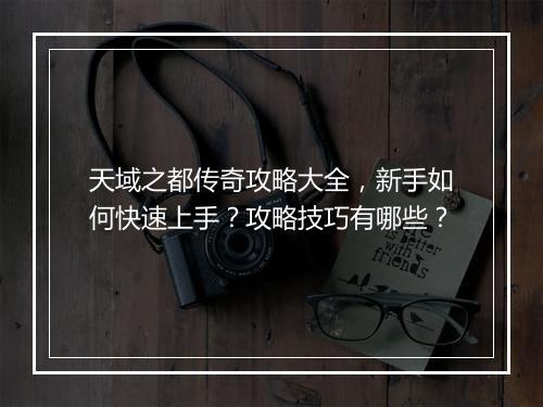 天域之都传奇攻略大全，新手如何快速上手？攻略技巧有哪些？