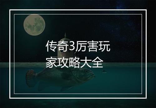 传奇3厉害玩家攻略大全