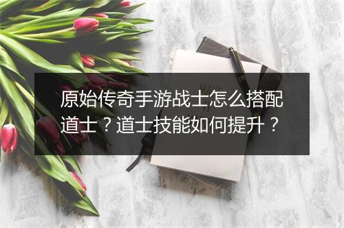 原始传奇手游战士怎么搭配道士？道士技能如何提升？