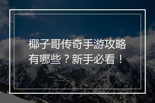 椰子哥传奇手游攻略有哪些？新手必看！