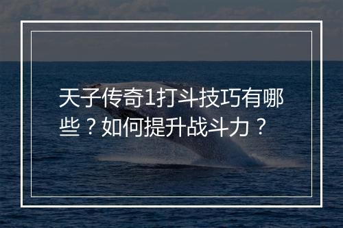天子传奇1打斗技巧有哪些？如何提升战斗力？