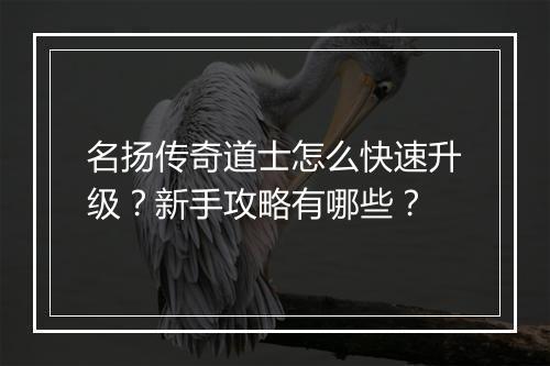 名扬传奇道士怎么快速升级？新手攻略有哪些？