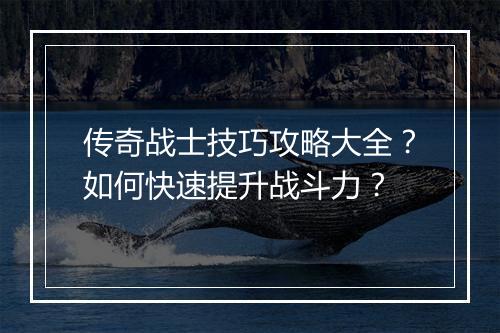 传奇战士技巧攻略大全？如何快速提升战斗力？