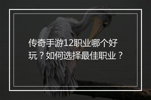 传奇手游12职业哪个好玩？如何选择最佳职业？