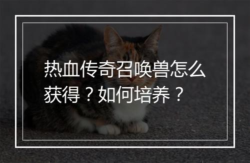 热血传奇召唤兽怎么获得？如何培养？