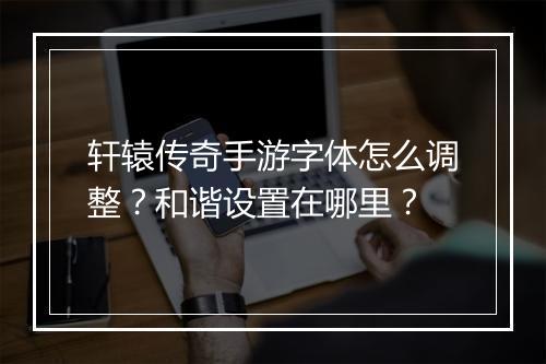 轩辕传奇手游字体怎么调整？和谐设置在哪里？