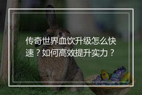 传奇世界血饮升级怎么快速？如何高效提升实力？