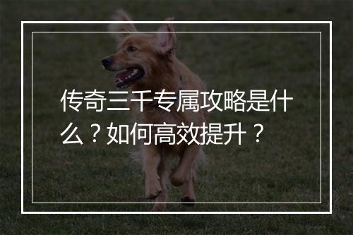 传奇三千专属攻略是什么？如何高效提升？
