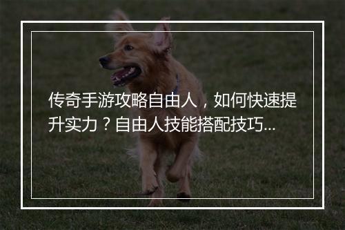 传奇手游攻略自由人，如何快速提升实力？自由人技能搭配技巧揭秘！