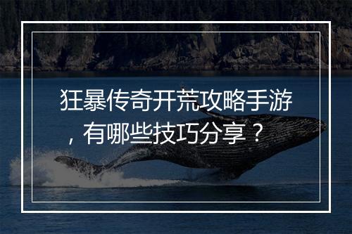 狂暴传奇开荒攻略手游，有哪些技巧分享？