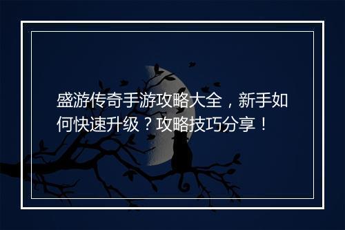 盛游传奇手游攻略大全，新手如何快速升级？攻略技巧分享！