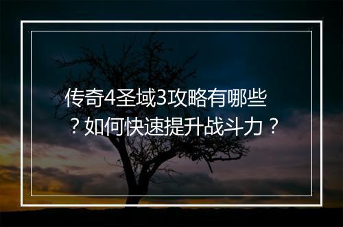 传奇4圣域3攻略有哪些？如何快速提升战斗力？