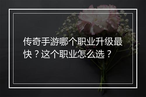 传奇手游哪个职业升级最快？这个职业怎么选？