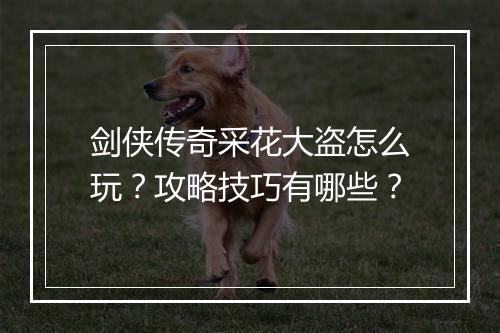 剑侠传奇采花大盗怎么玩？攻略技巧有哪些？