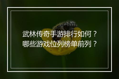 武林传奇手游排行如何？哪些游戏位列榜单前列？