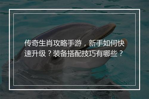 传奇生肖攻略手游，新手如何快速升级？装备搭配技巧有哪些？
