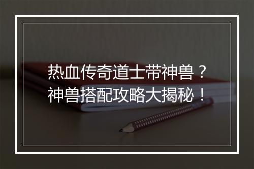 热血传奇道士带神兽？神兽搭配攻略大揭秘！