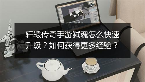 轩辕传奇手游弑魂怎么快速升级？如何获得更多经验？