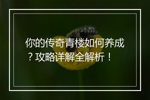 你的传奇青楼如何养成？攻略详解全解析！