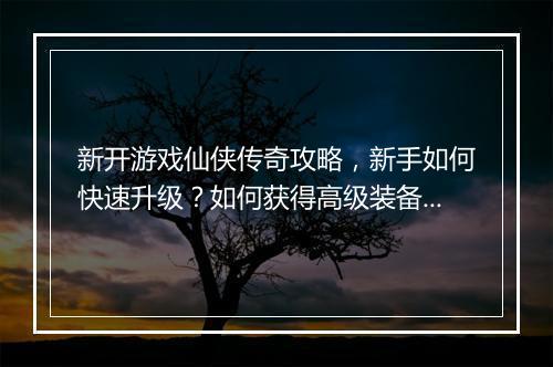 新开游戏仙侠传奇攻略，新手如何快速升级？如何获得高级装备？