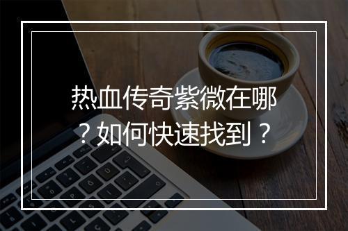 热血传奇紫微在哪？如何快速找到？