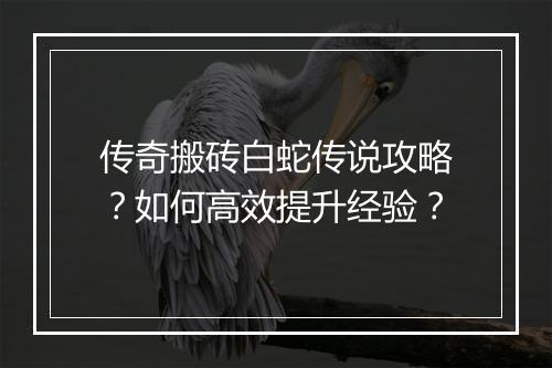 传奇搬砖白蛇传说攻略？如何高效提升经验？