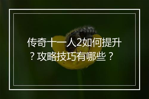 传奇十一人2如何提升？攻略技巧有哪些？