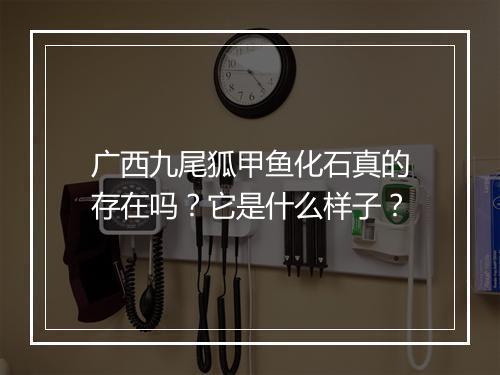 广西九尾狐甲鱼化石真的存在吗？它是什么样子？