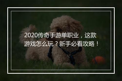 2020传奇手游单职业，这款游戏怎么玩？新手必看攻略！