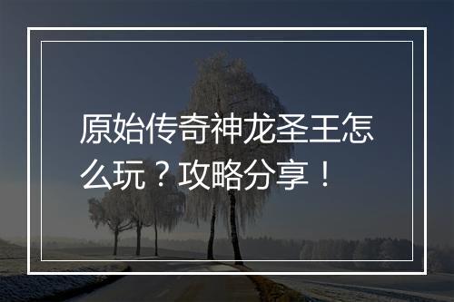 原始传奇神龙圣王怎么玩？攻略分享！