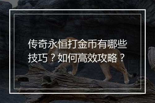 传奇永恒打金币有哪些技巧？如何高效攻略？