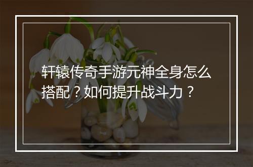 轩辕传奇手游元神全身怎么搭配？如何提升战斗力？