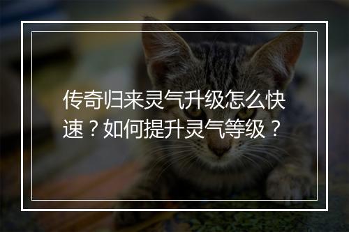 传奇归来灵气升级怎么快速？如何提升灵气等级？
