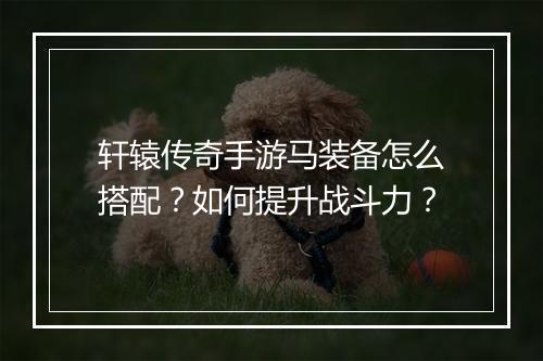 轩辕传奇手游马装备怎么搭配？如何提升战斗力？