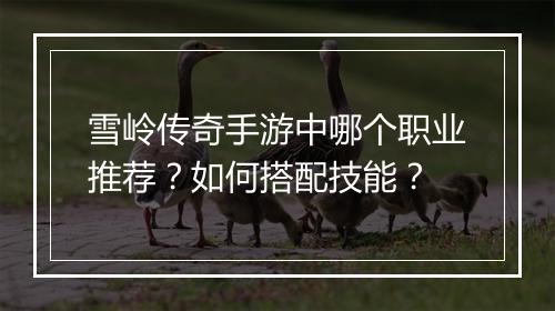 雪岭传奇手游中哪个职业推荐？如何搭配技能？