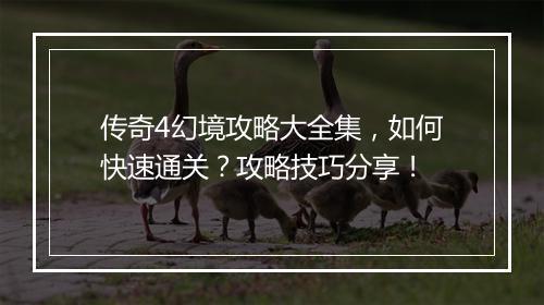传奇4幻境攻略大全集，如何快速通关？攻略技巧分享！