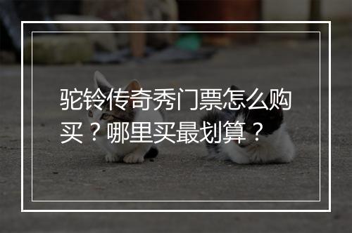 驼铃传奇秀门票怎么购买？哪里买最划算？