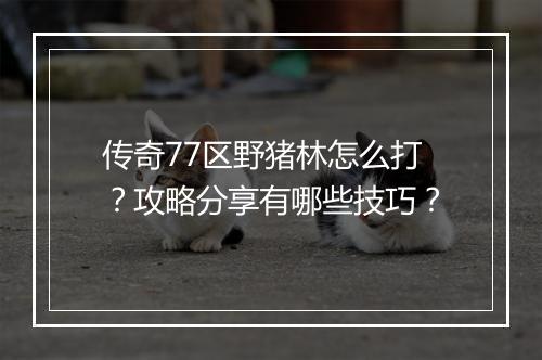 传奇77区野猪林怎么打？攻略分享有哪些技巧？