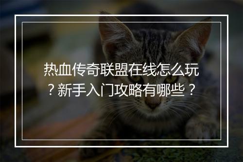 热血传奇联盟在线怎么玩？新手入门攻略有哪些？
