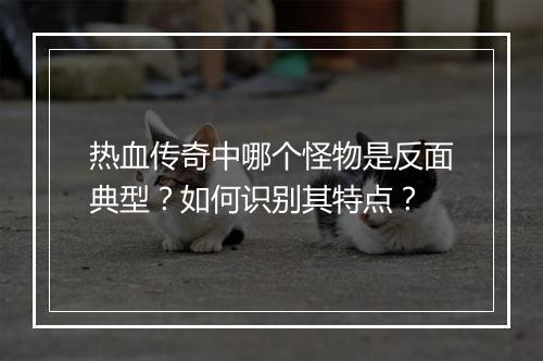 热血传奇中哪个怪物是反面典型？如何识别其特点？