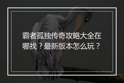 霸者孤独传奇攻略大全在哪找？最新版本怎么玩？