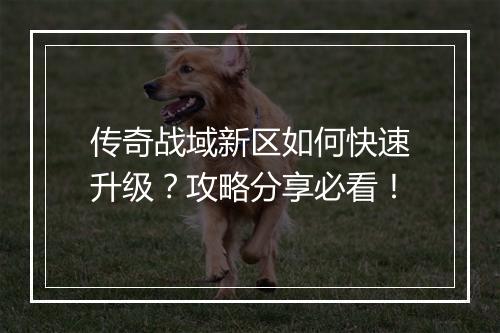 传奇战域新区如何快速升级？攻略分享必看！