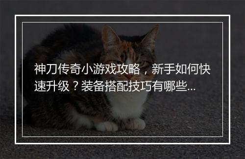 神刀传奇小游戏攻略，新手如何快速升级？装备搭配技巧有哪些？