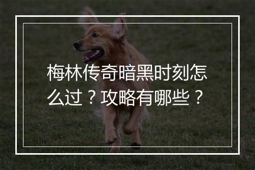 梅林传奇暗黑时刻怎么过？攻略有哪些？