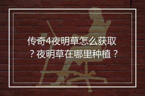 传奇4夜明草怎么获取？夜明草在哪里种植？