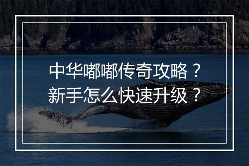 中华嘟嘟传奇攻略？新手怎么快速升级？
