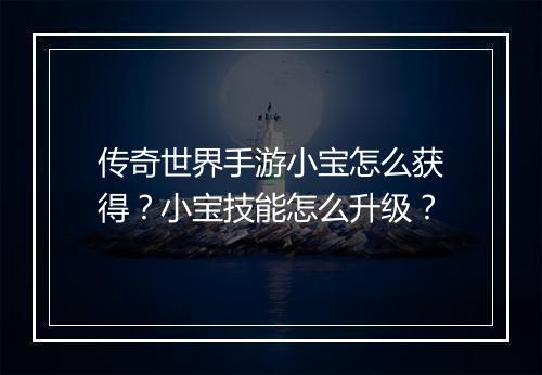 传奇世界手游小宝怎么获得？小宝技能怎么升级？