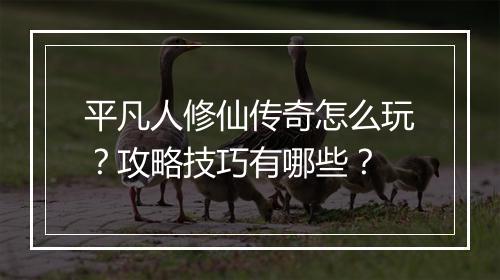 平凡人修仙传奇怎么玩？攻略技巧有哪些？